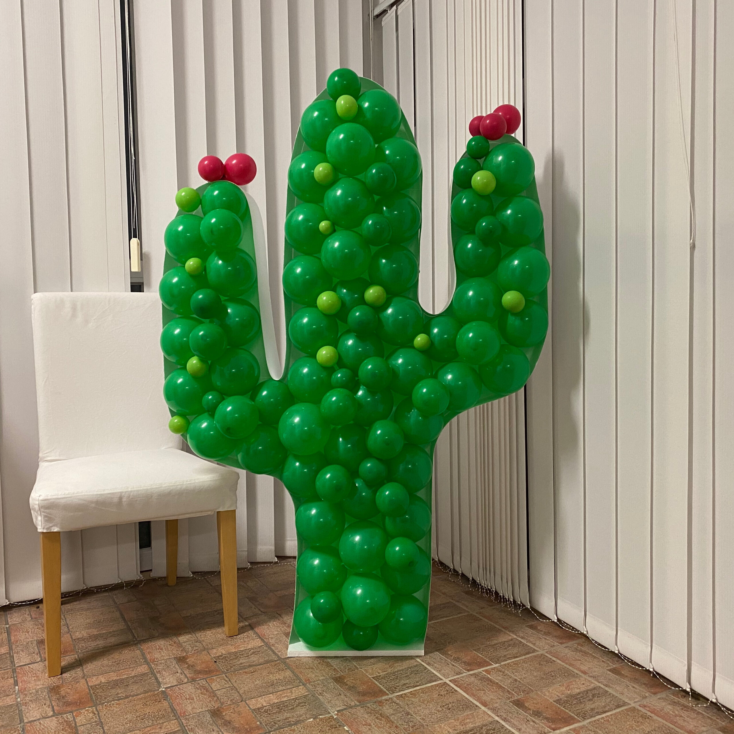 Cactus - Image 2