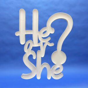 "He or She?" Script