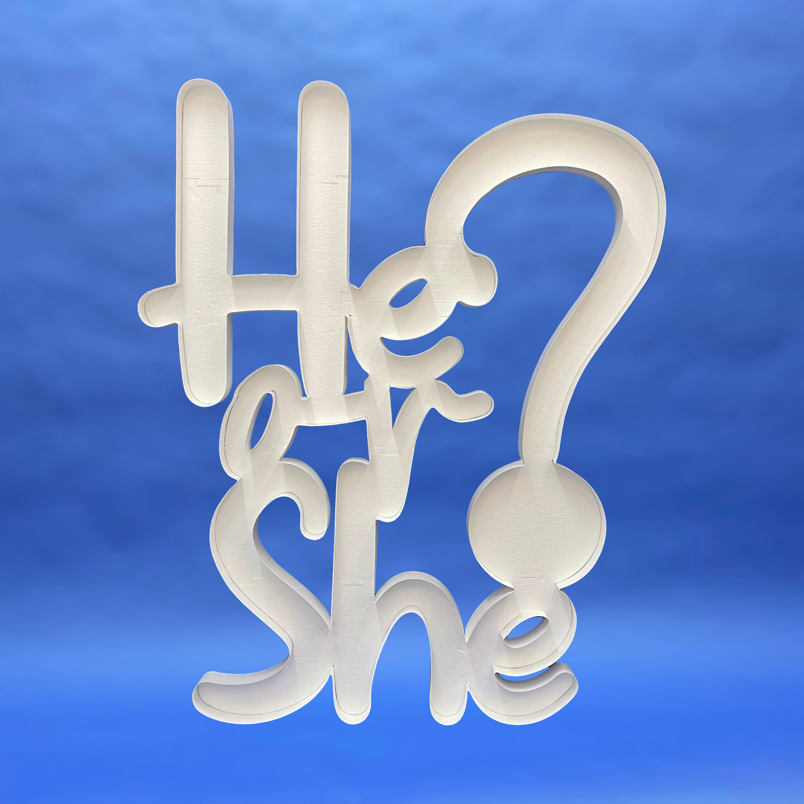 "He or She?" Script