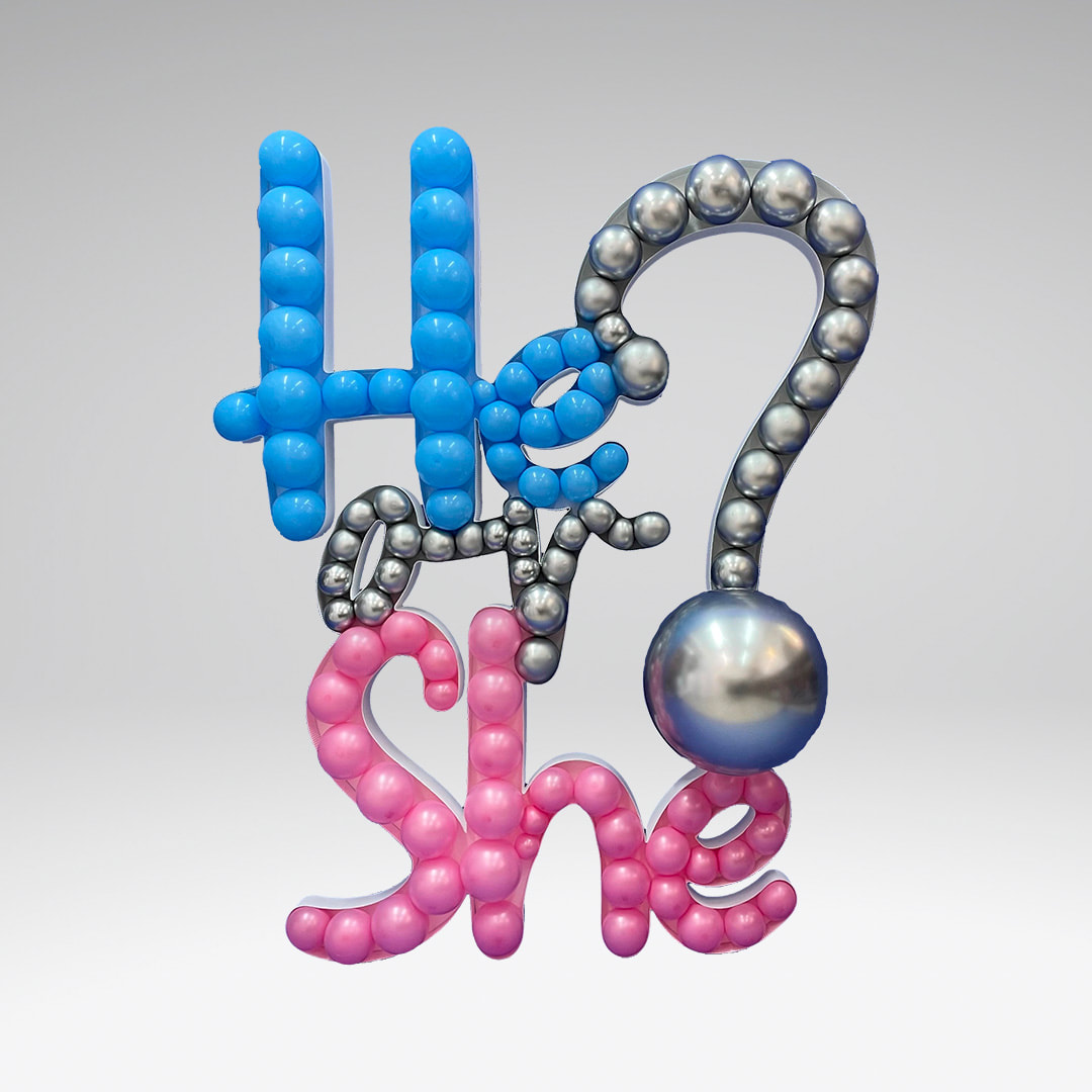 Schriftzug "He or She?" – Bild 2