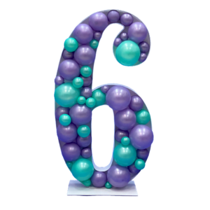 Mini Number 6